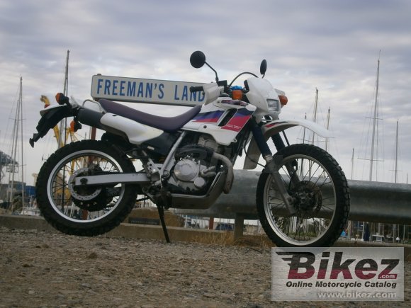 Honda xl 250 degree